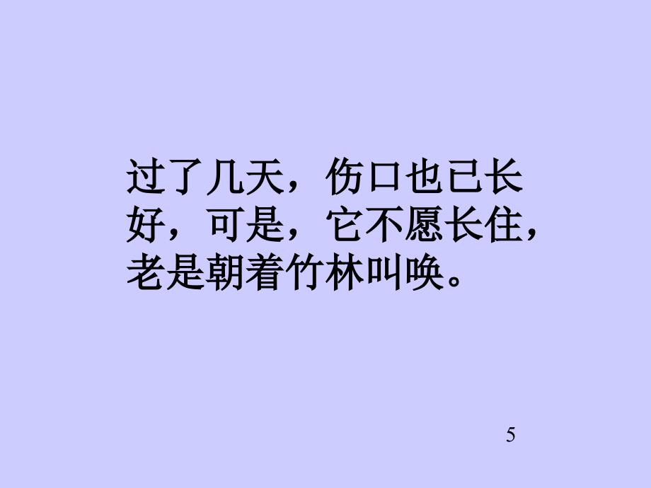 浙教版四年级上册密林怪客课件2_第4页