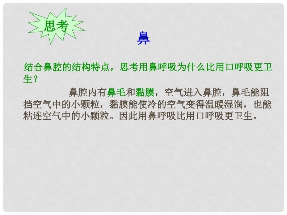 七年级生物下册《10.3 人体和外界环境的气体交换》课件 苏教版_第5页