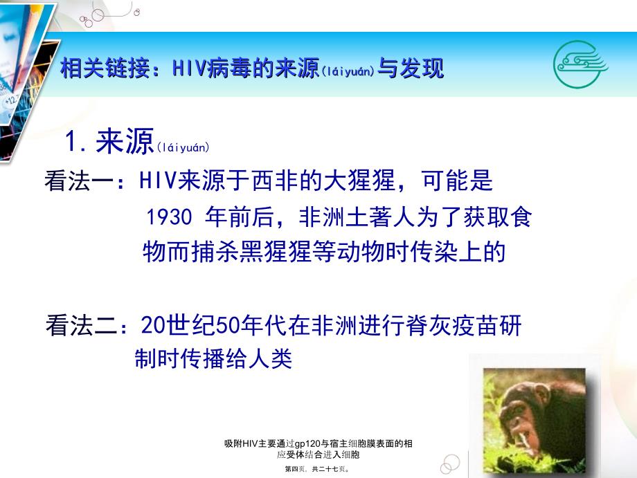 吸附HIV主要通过gp120与宿主细胞膜表面的相应受体结合进入细胞课件_第4页