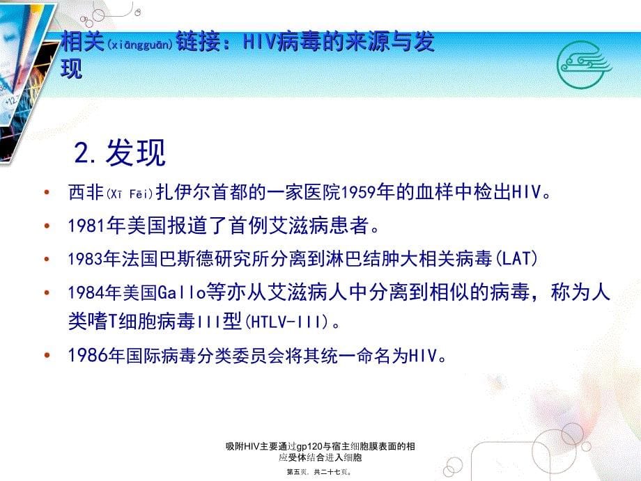 吸附HIV主要通过gp120与宿主细胞膜表面的相应受体结合进入细胞课件_第5页