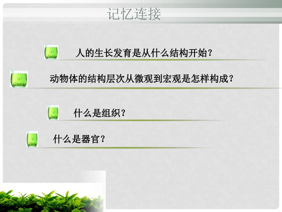 河南省商丘市第八中学七年级生物上册 2.2.3 植物体的结构层次课件2 （新版）新人教版_第2页