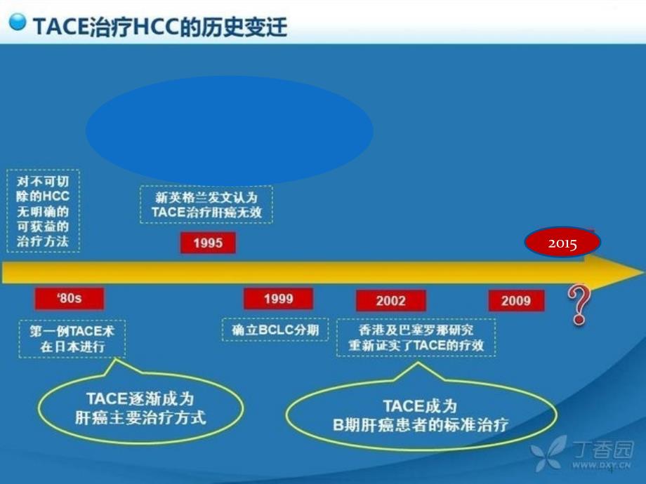 推荐精选肝动脉化疗栓塞术TACE_第4页