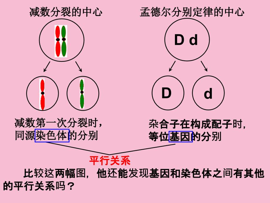 人教版教学基因在染色体上ppt课件_第4页