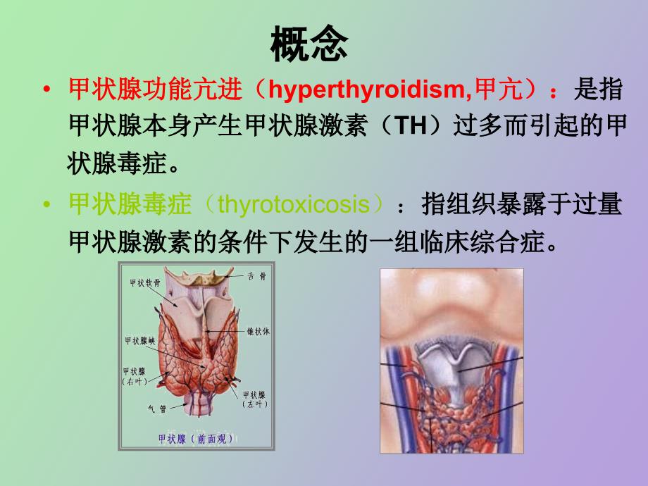 甲状腺功能亢进症病人的护理_第3页