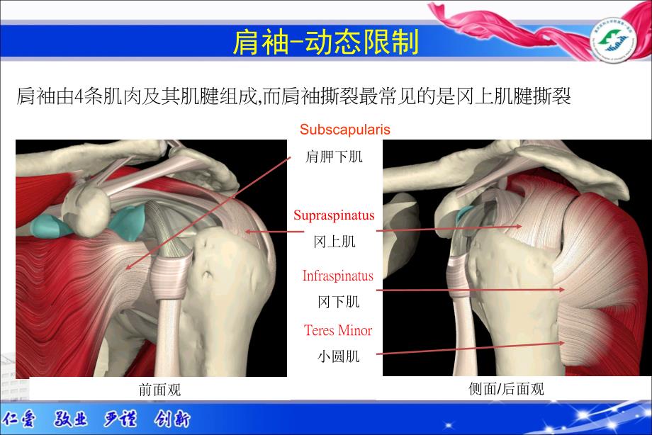 肩关节常见疾病诊疗课件_第4页