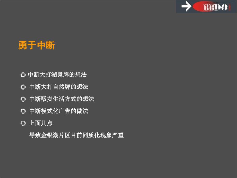 银湖翡翠广告推广提案85PPT_第4页