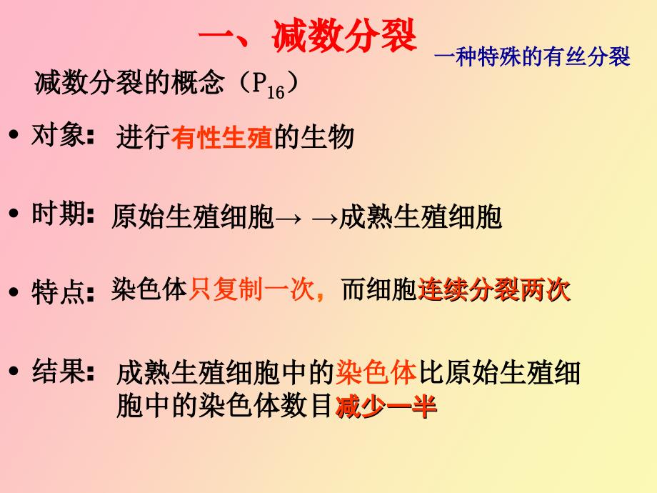 精细胞的形成_第4页