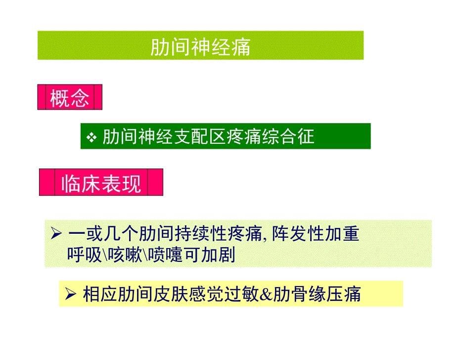 脊神经胸神经腰丛骶丛_第5页