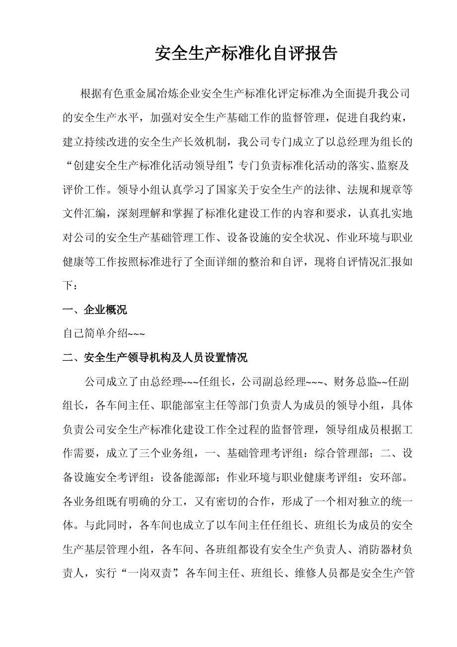 安全生产标准化自评报告_第2页