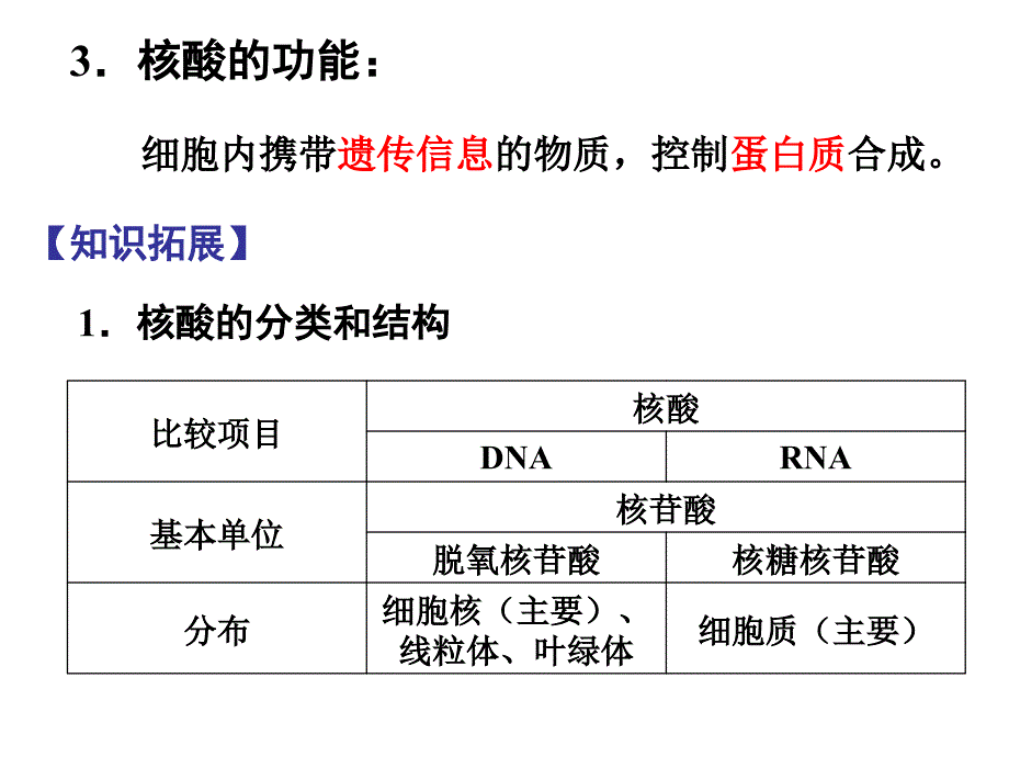 第4讲遗传物质的携带者核酸_第3页