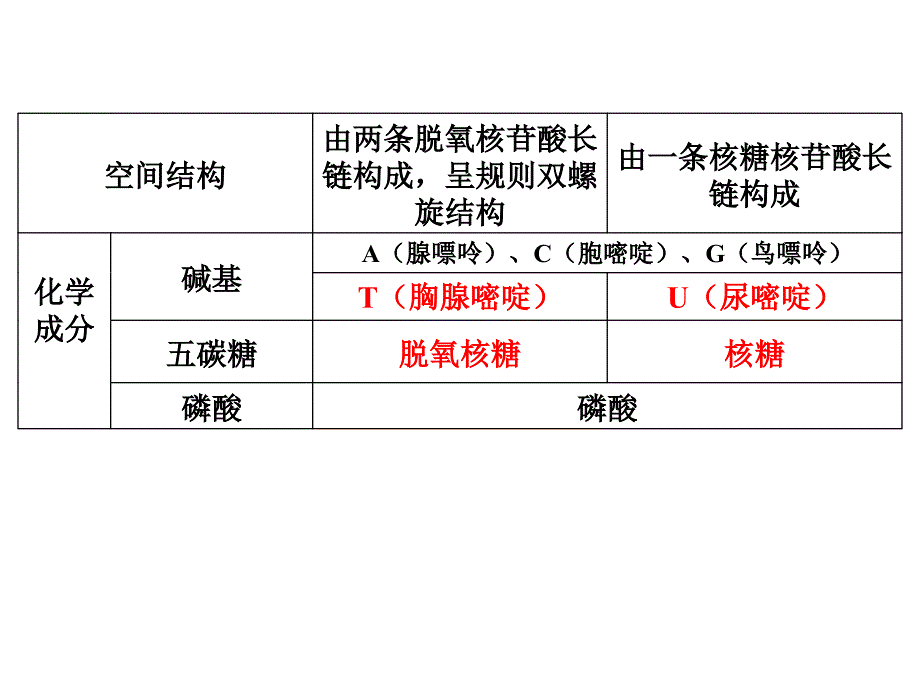 第4讲遗传物质的携带者核酸_第4页