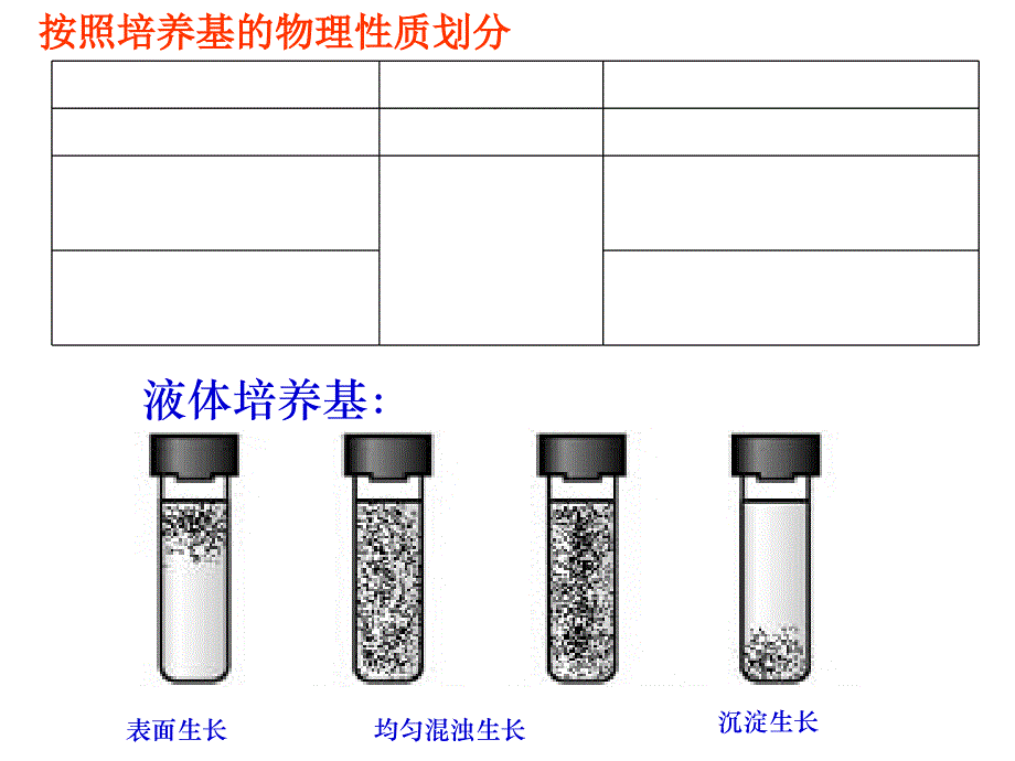 微生物的实验室培养1_第4页