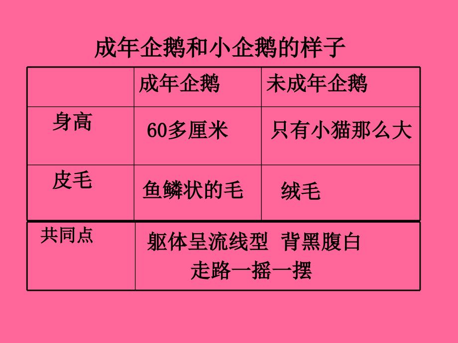 14.1登上企鹅岛_第4页