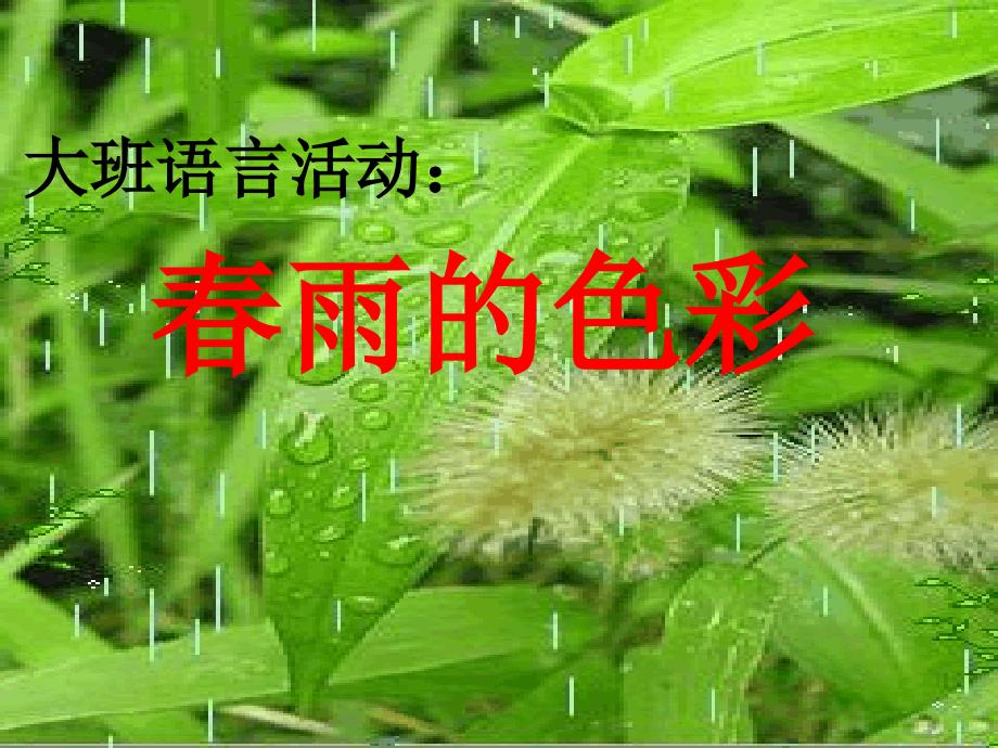 幼儿园ppt课件：大班语言活动：春雨的色彩_第1页