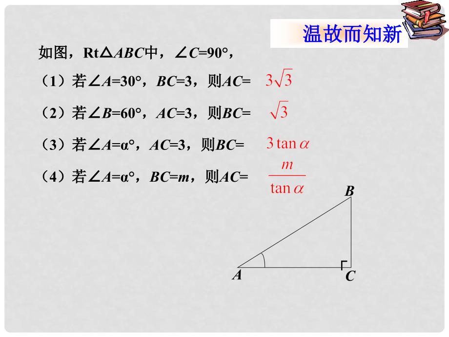 河南省南乐县张果屯乡中学九年级数学下册《解直角三角形》课件（2） 新人教版_第3页