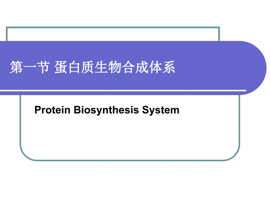 生物化学和分子生物学：第12章 翻译_第4页