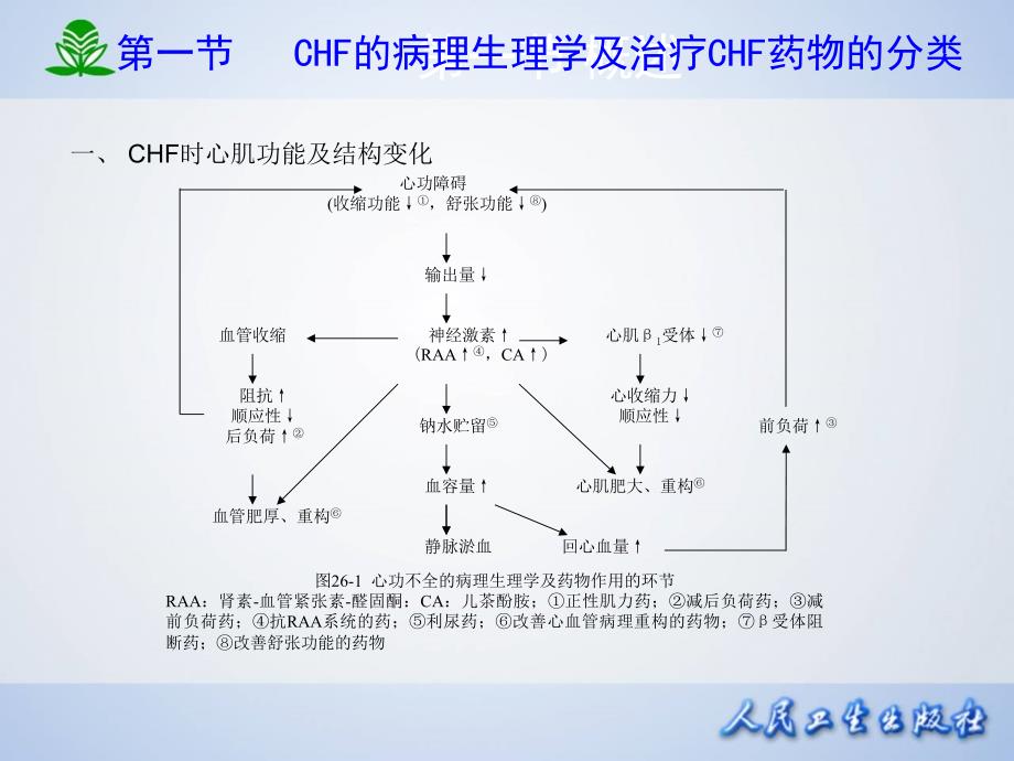 治疗心力衰竭的药物_第4页