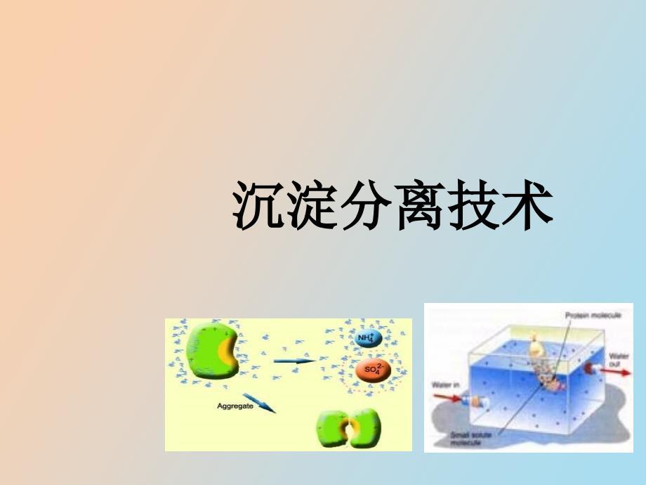 蛋白质核酸沉淀分离技术