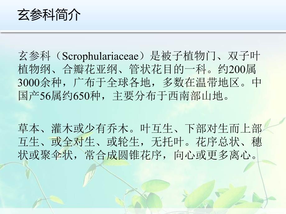 观赏植物资源与利用_第3页