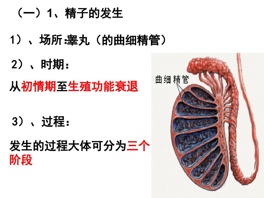 二轮复习胚胎工程复习1_第3页