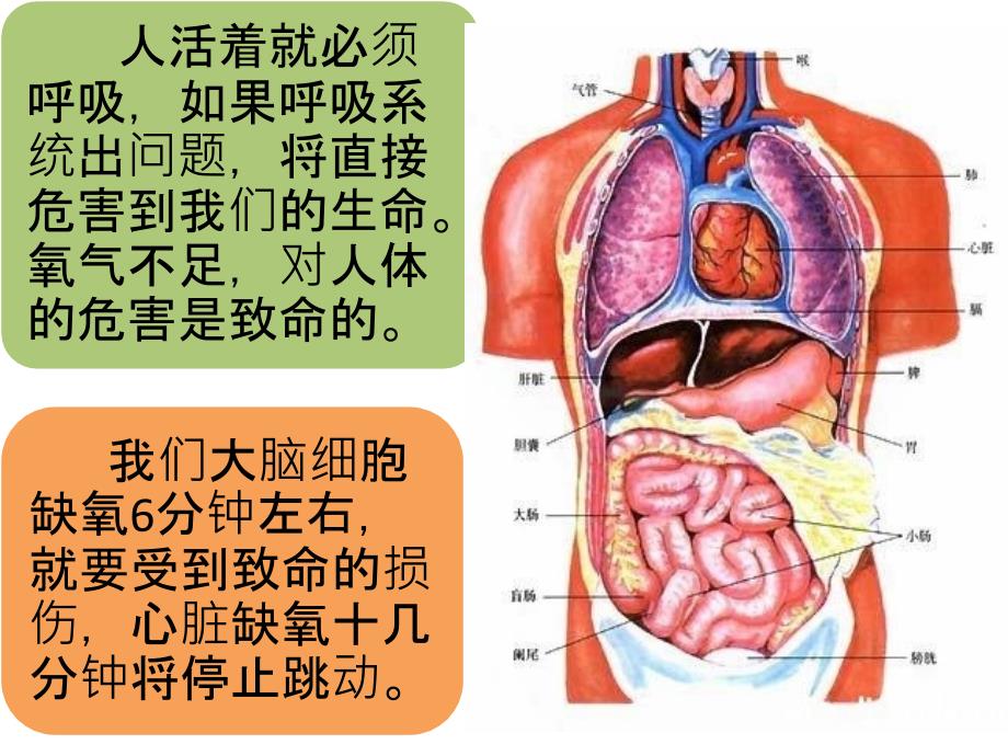 尘肺病的危害与预防_第3页