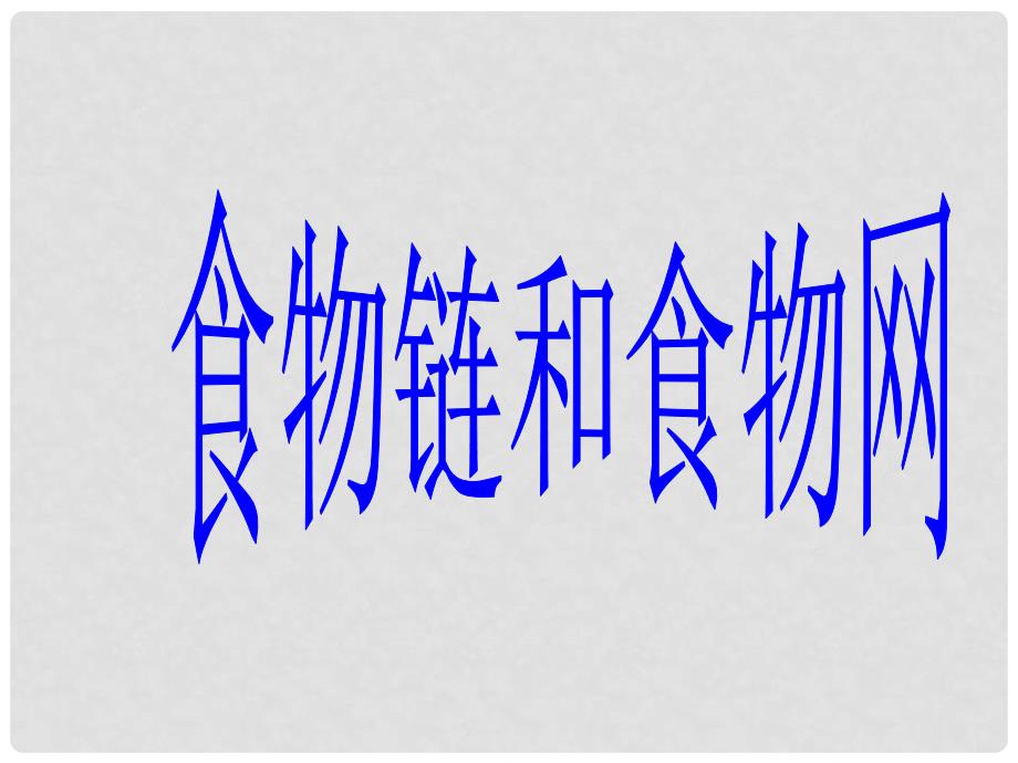 五年级科学上册 1.5 食物链和食物网课件2 教科版_第4页