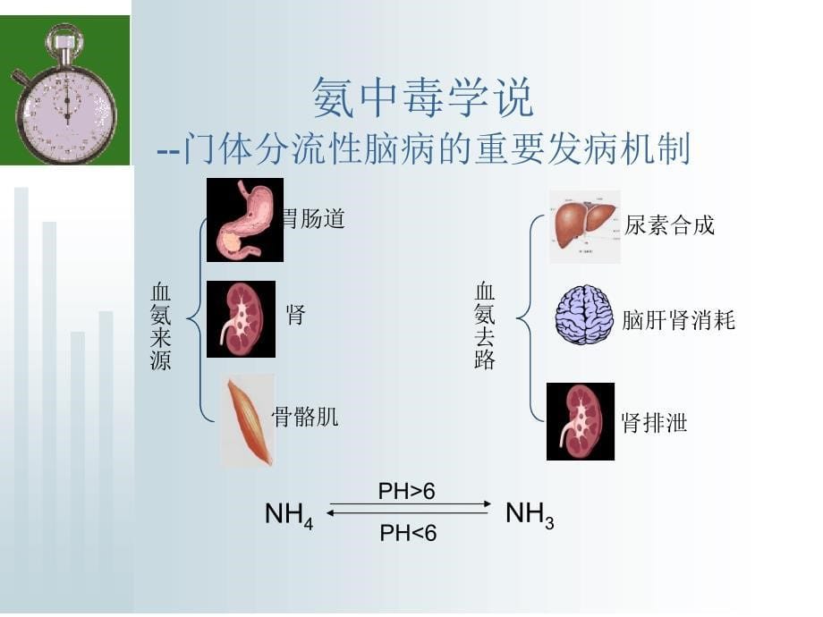 肝性脑病ppt课件_第5页