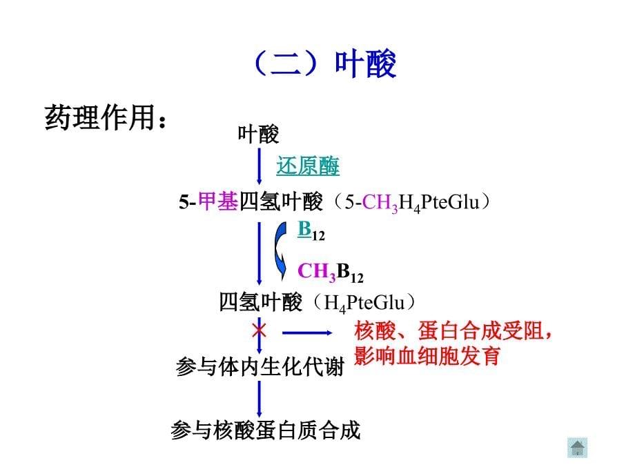 作用于血液系统药物2_第5页