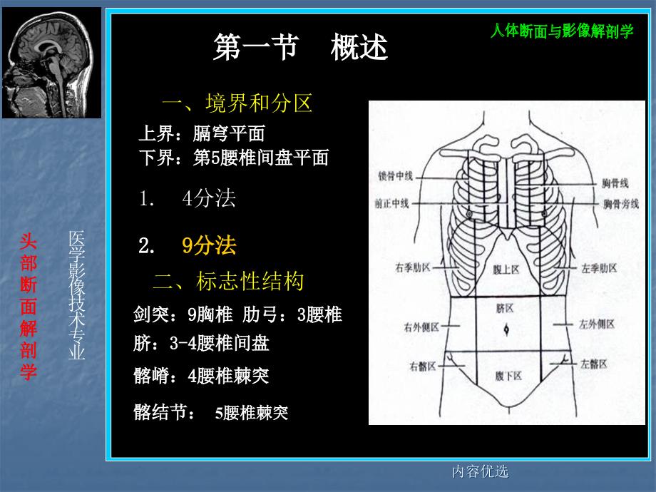 腹部断层解剖严选内容_第3页