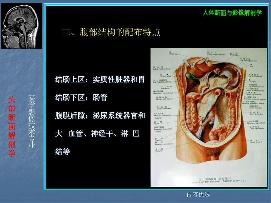 腹部断层解剖严选内容_第5页