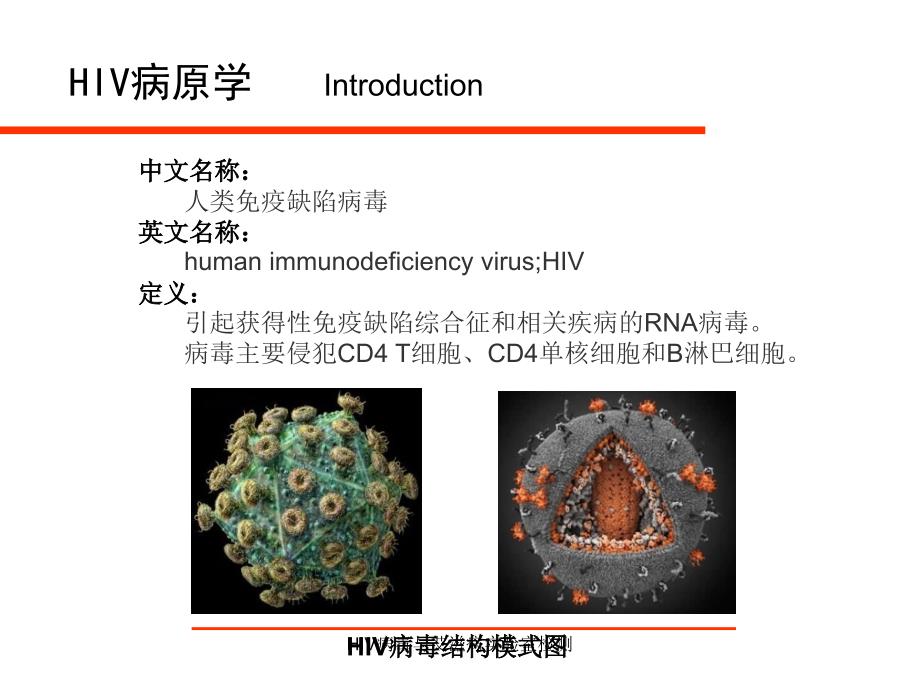 HIV病毒与艾滋病实验室检测课件_第3页