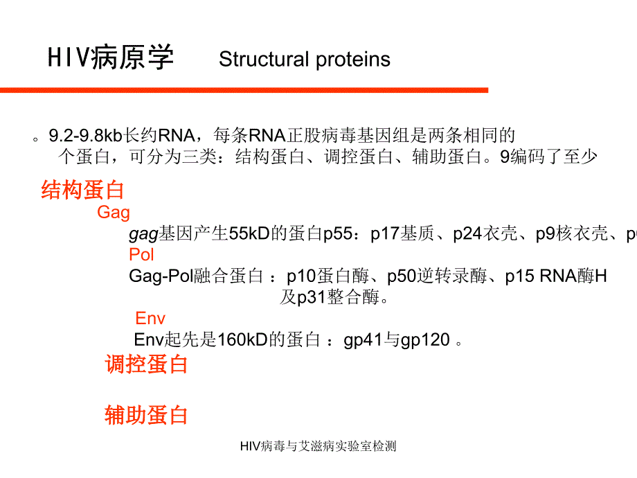 HIV病毒与艾滋病实验室检测课件_第4页