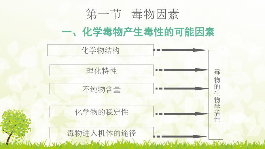 第五章 影响外源化学物毒性作用的因素_第4页