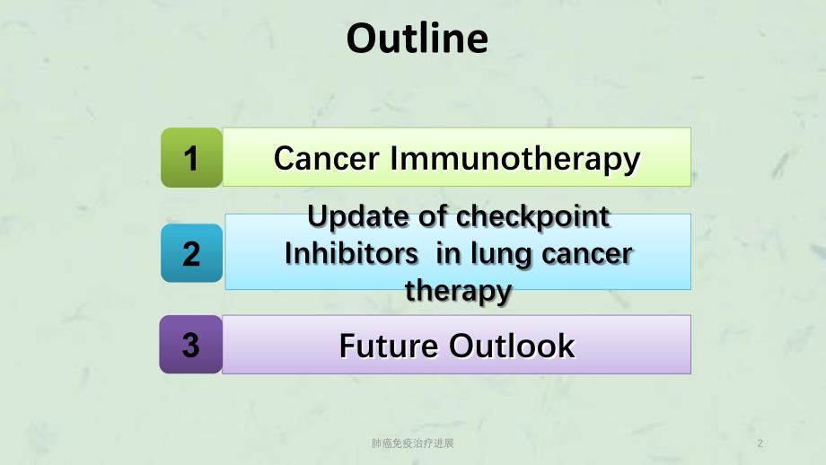 肺癌免疫治疗进展课件_第2页
