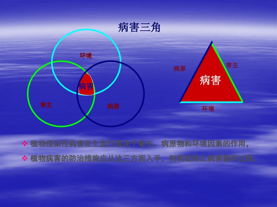 植物病害的防治PPT课件02_第3页