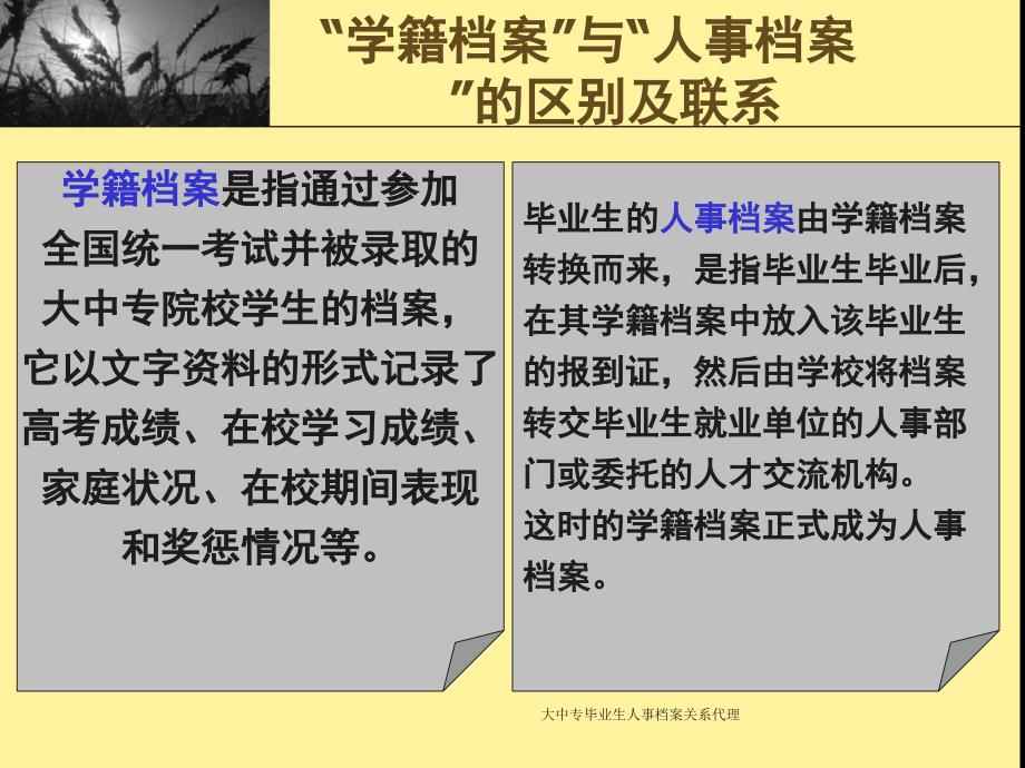 大中专毕业生人事档案关系代理课件_第4页