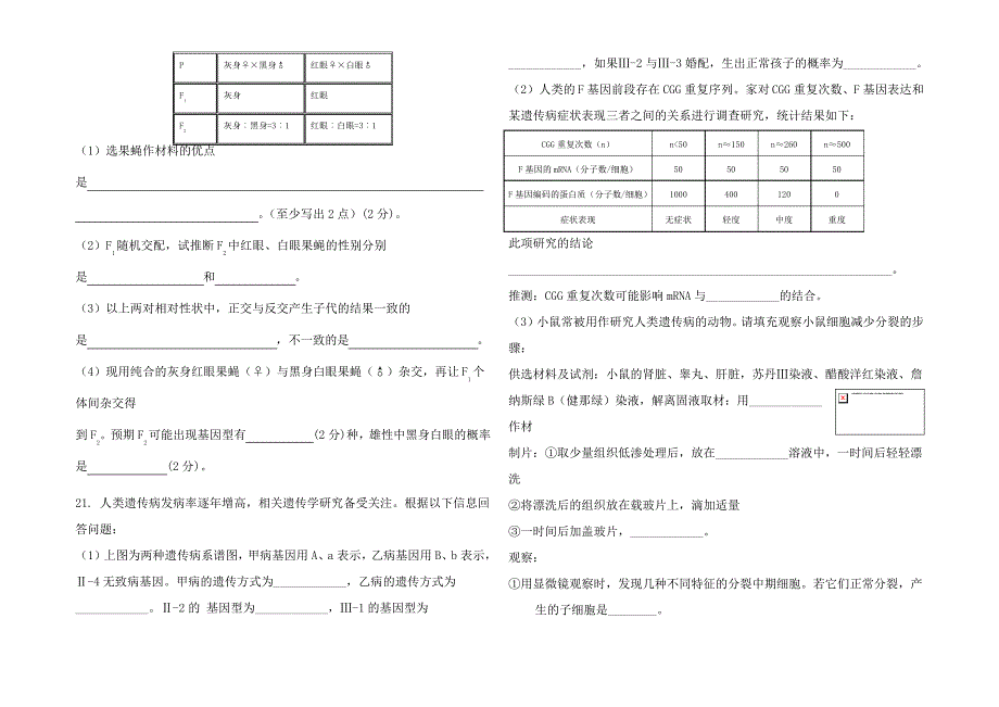 高三生物《遗传的基本规律》单元测试 1_第4页