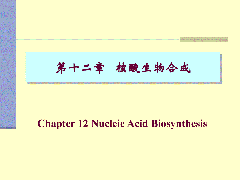 生物化学：第十二章 核酸生物合成_第1页