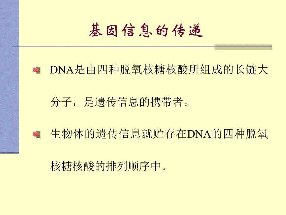 生物化学：第十二章 核酸生物合成_第2页