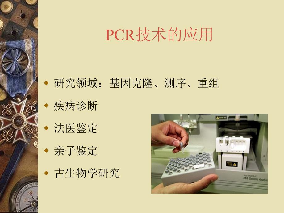 第五章PCR引物设计ppt课件_第2页