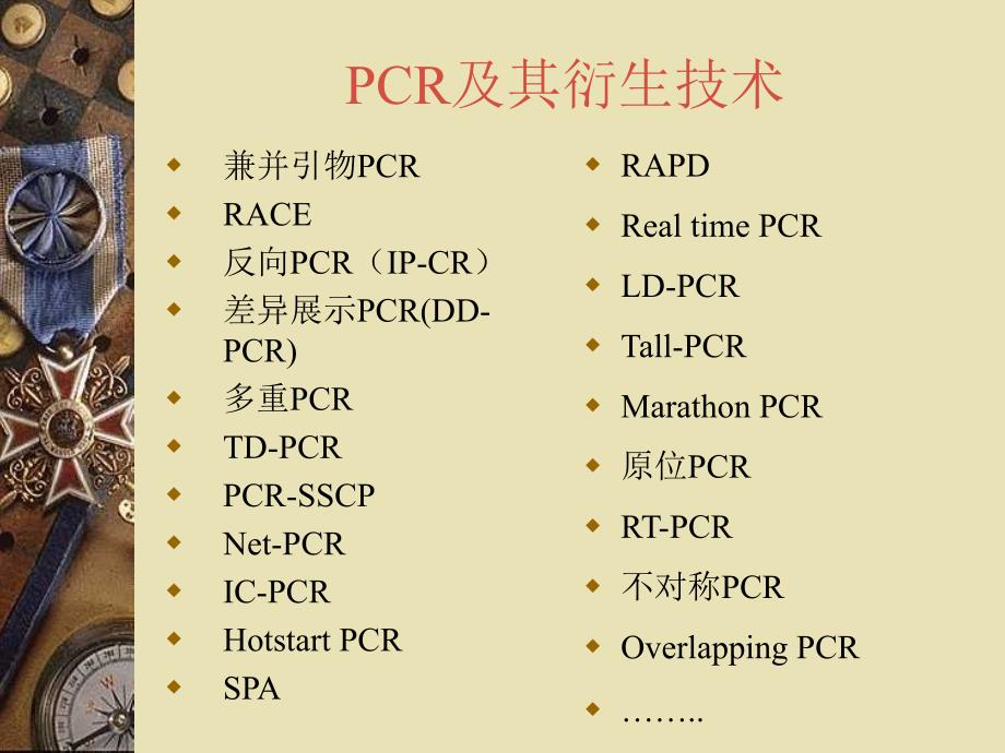 第五章PCR引物设计ppt课件_第3页