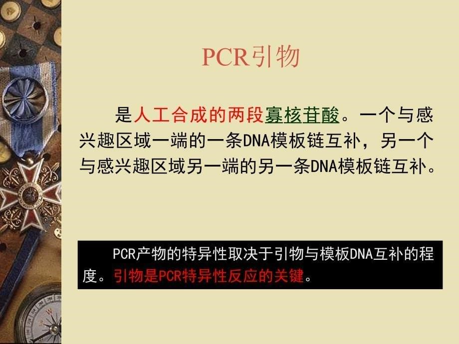 第五章PCR引物设计ppt课件_第5页