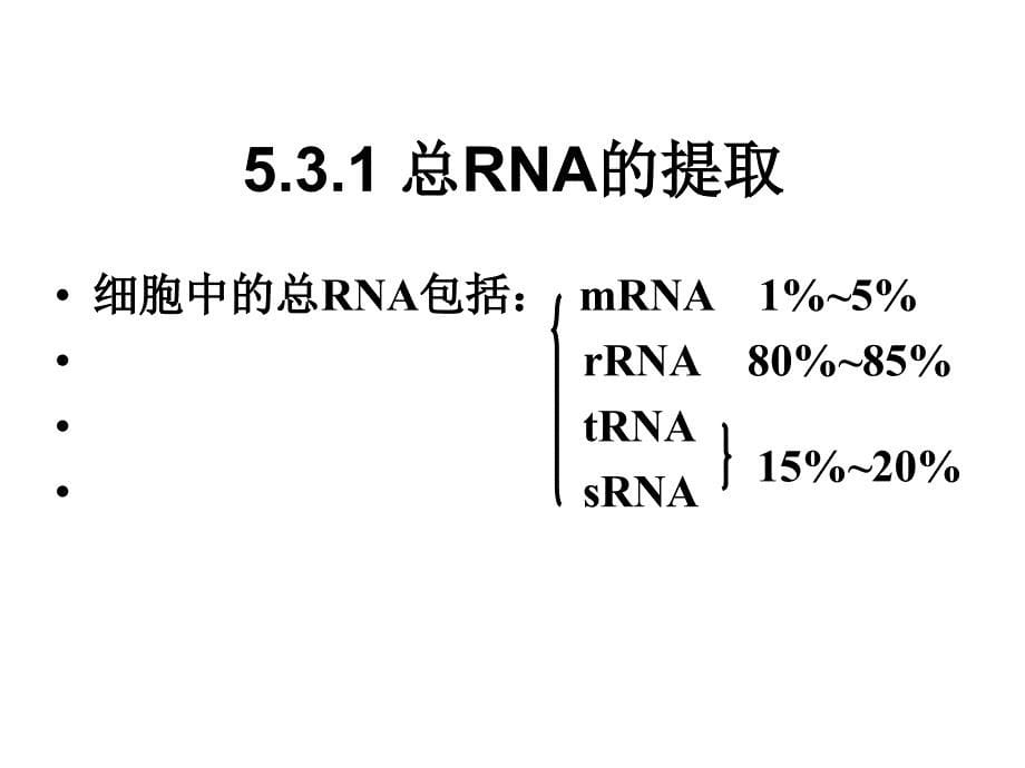 分子生物学研究法_第5页