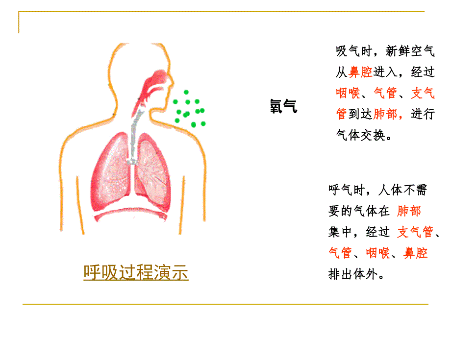 四年级科学上册运动起来会怎样一PPT课件教科版_第4页