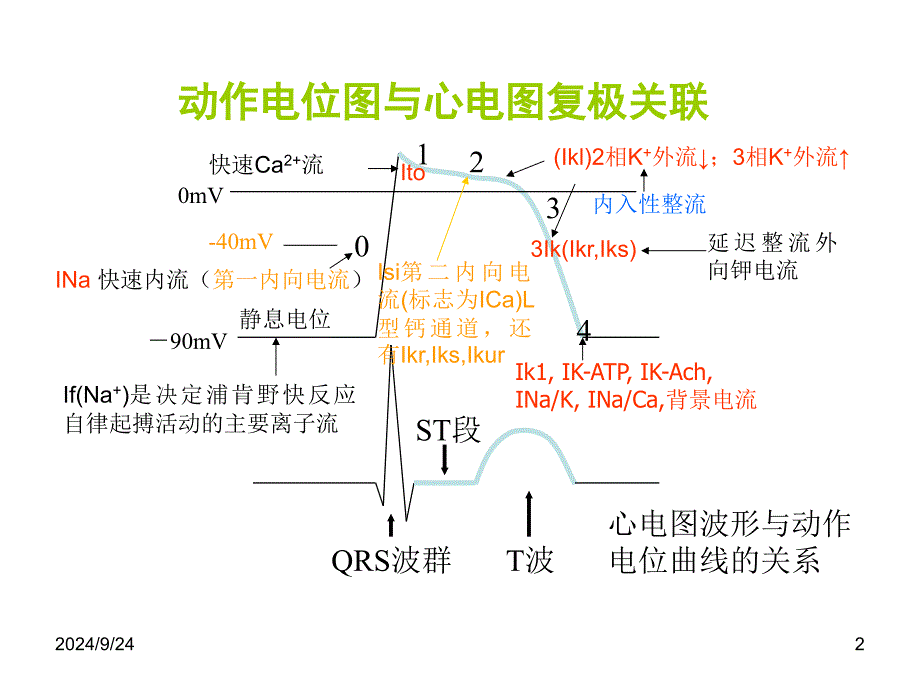 中药对离子通道影响研究_第2页