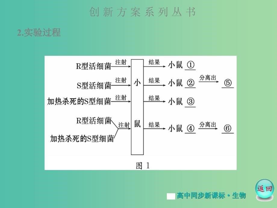 高中生物 第3章 第1节 DNA是主要的遗传物质课件 新人教版必修2.ppt_第5页