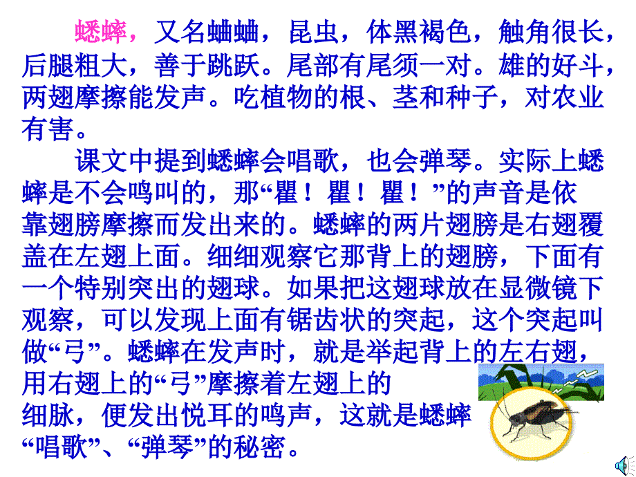 《蟋蟀的住宅》课件 (2)_第3页