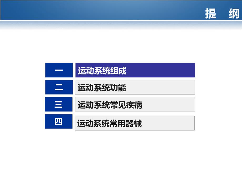 运动系统课件_第2页