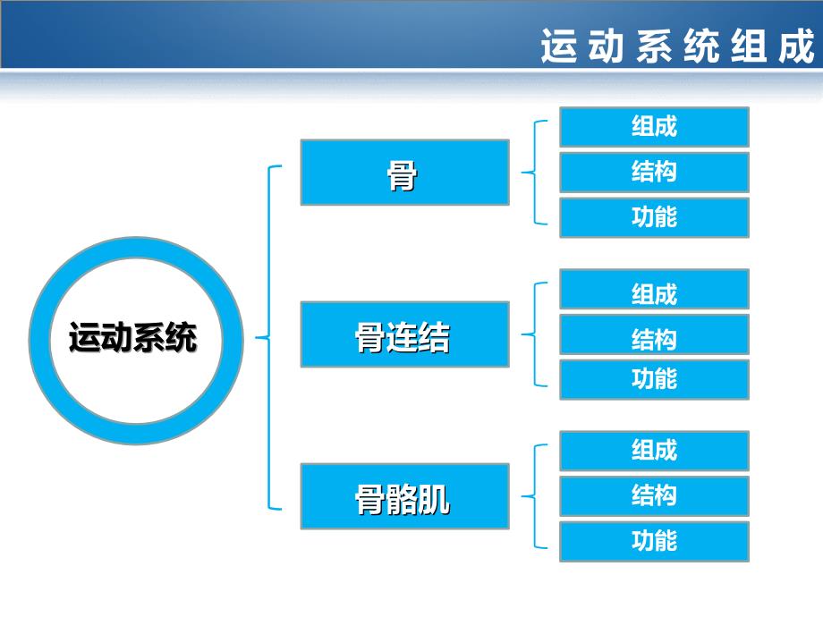 运动系统课件_第3页