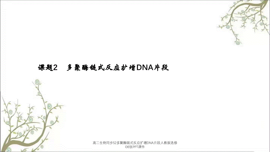 高二生物同步52多聚酶链式反应扩增DNA片段人教版选修I36张PPT课件_第1页